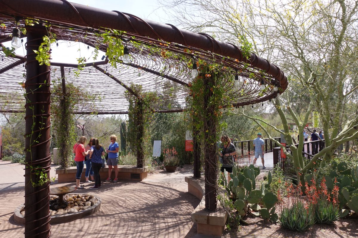 Desert Botanical Garden Entrance